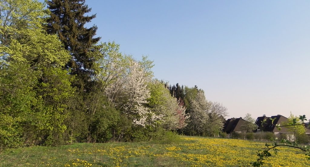 Hof, Äußere Bayreuther Straße.