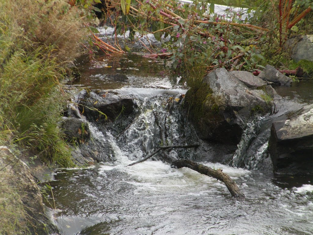 Saale bei Hof
