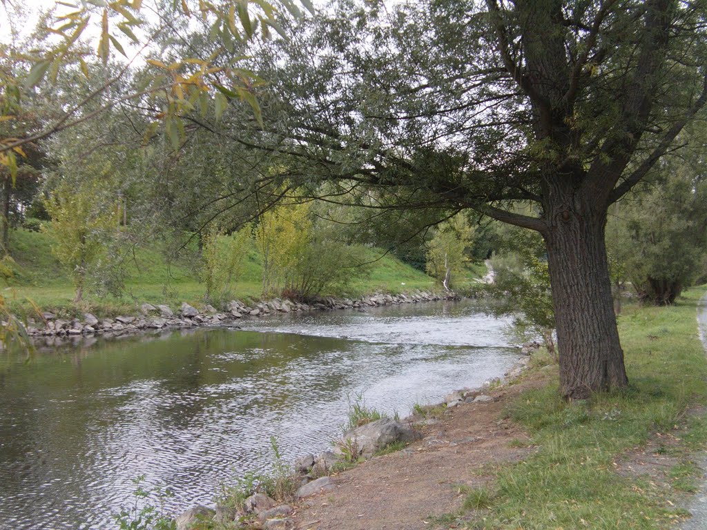 Saale bei Hof