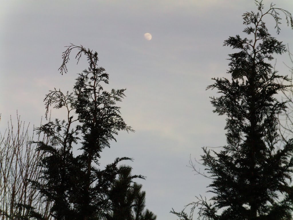 Mond 3.04.12