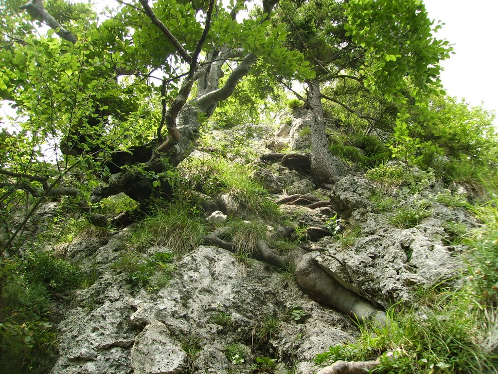 Klettersteig hoch zum Engelstein