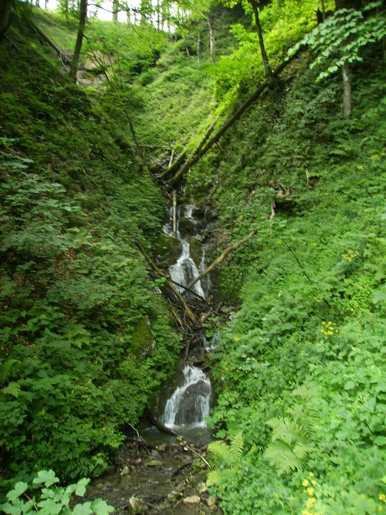 Kleine Fälle des Weidenbach