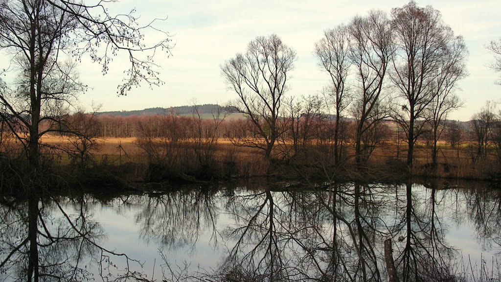 Weiher bei Klaus