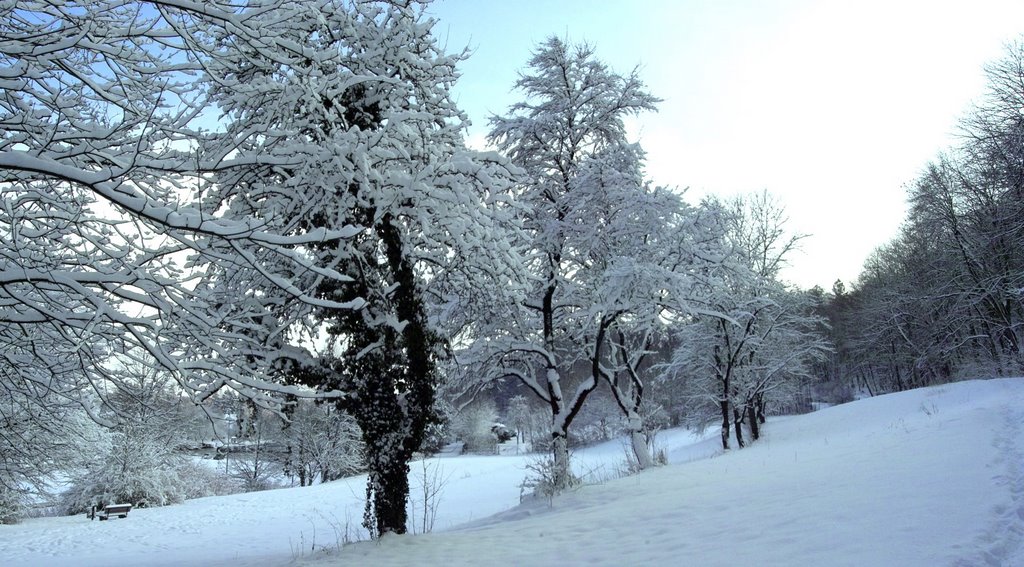 Dingolfing im Winter