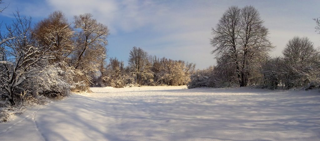 Dingolfing im Winter