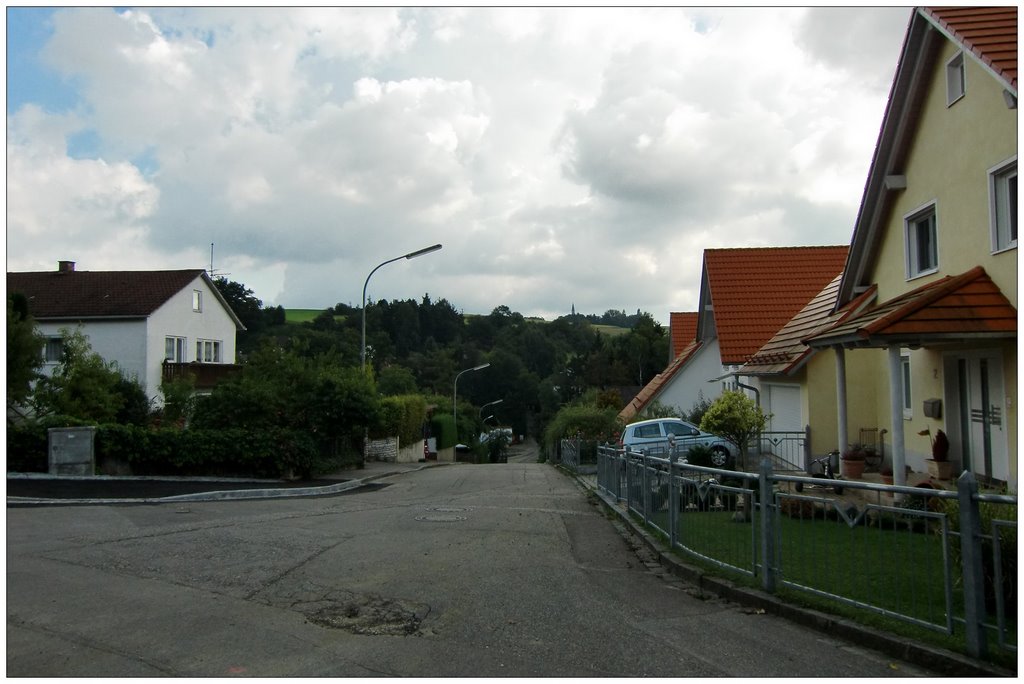 Sauerbruchweg