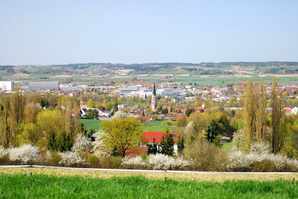 Blick von Oberdingolfing auf Dingolfing