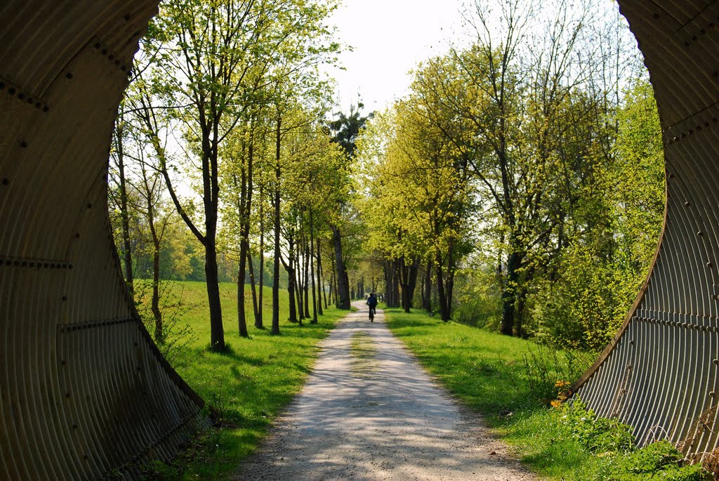 Isar Radweg