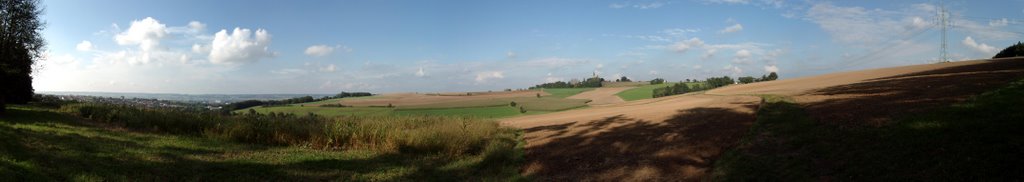 Oberdingolfing