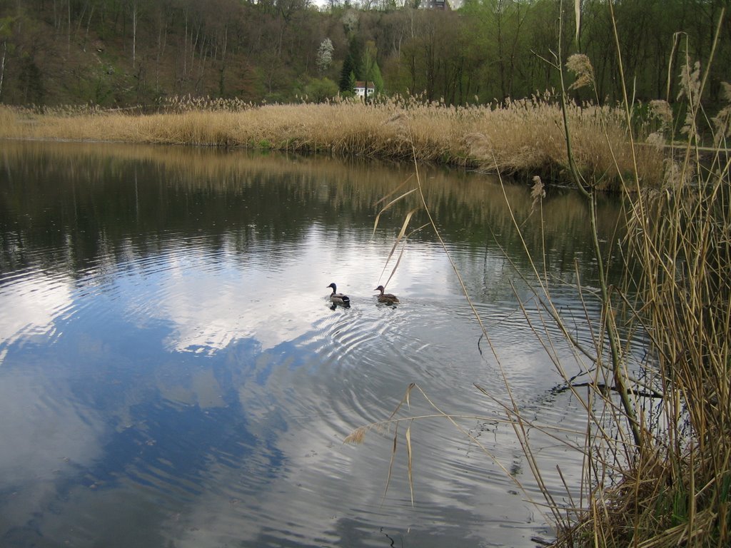 Wöhrsee
