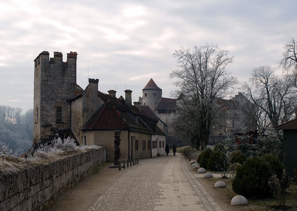 im ersten Vorhof