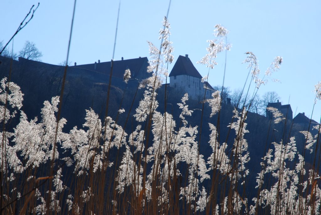 versilbert   - am Wöhrsee in Burghausen