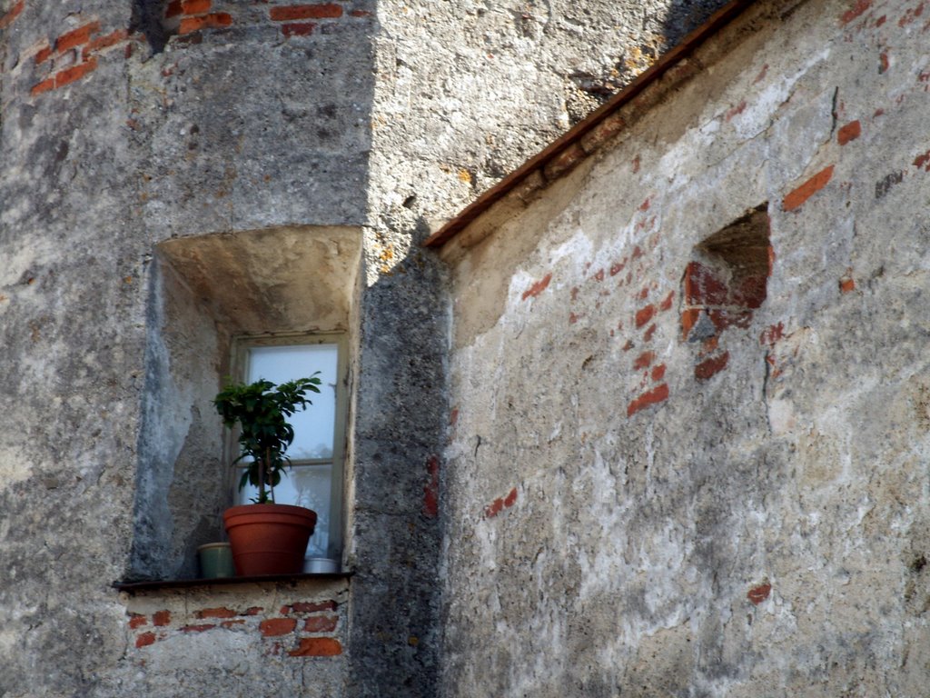 Burghausen