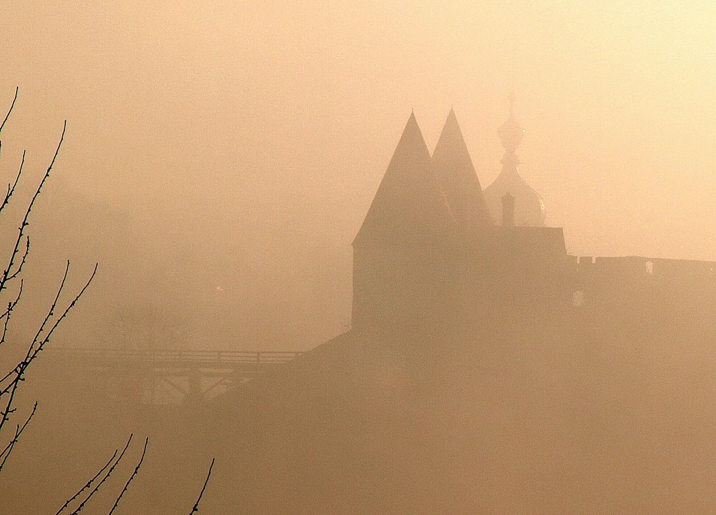 Morgennebel