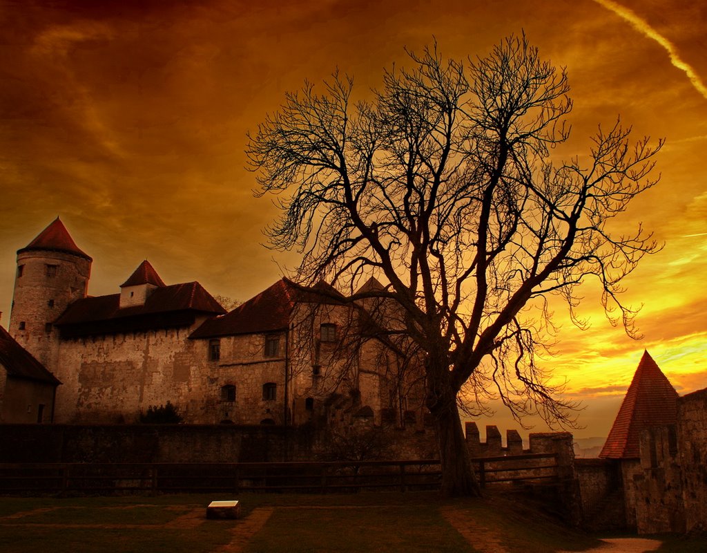 #47 Castle of Burghausen - 2010 August NPC-Germany 6th.Place