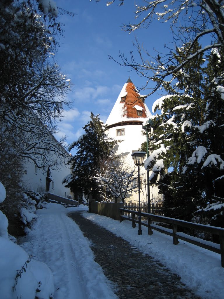 Hofberg
