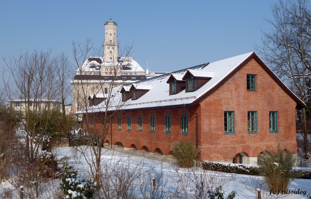 Kunstmühle, Umgebung