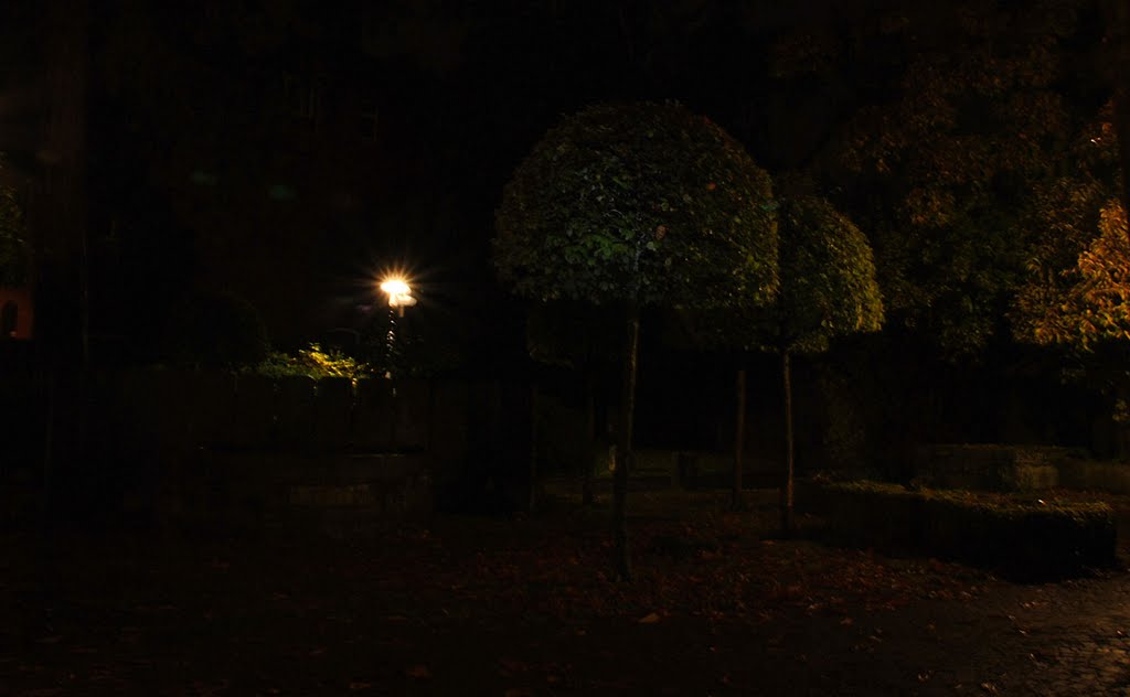 Nachts im Klostergarten