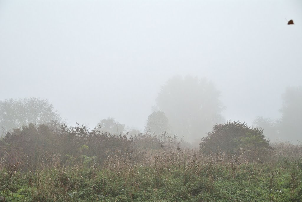 Herbstmorgen
