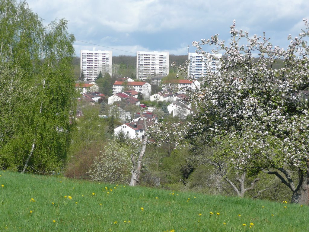 Eichholz, Sindelfingen