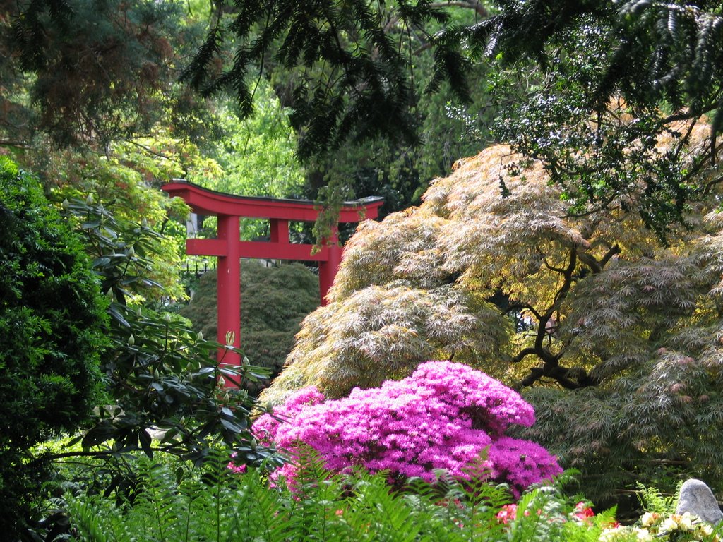 Stadtgarten, Japangarten