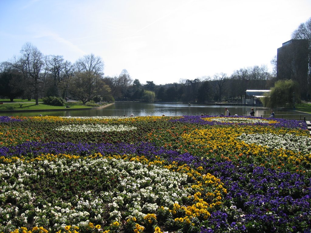 Blumenmeer im Karlsruher Zoo / Flower sea in the Karlsruhe zoo