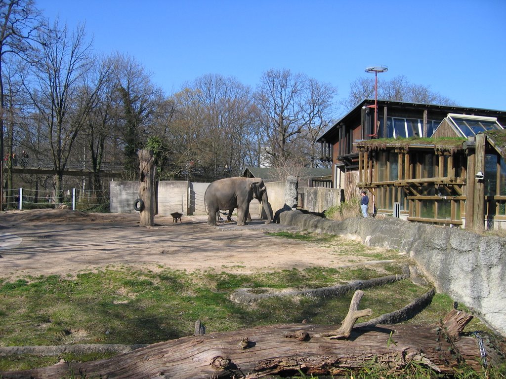 Elefantengehege im Karlsruher Zoo / Elephants enclosure in the Karlsruhe zoo