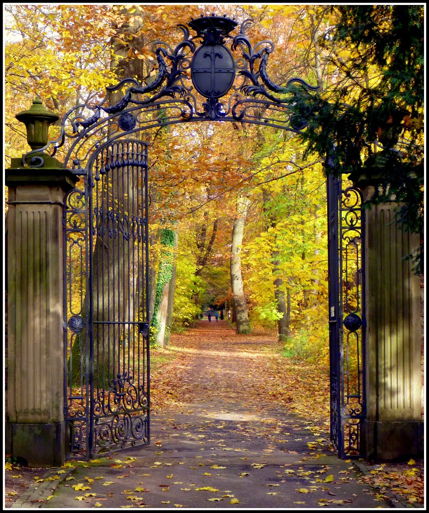 November im Karlsruher Schlossgarten (9.11.12)