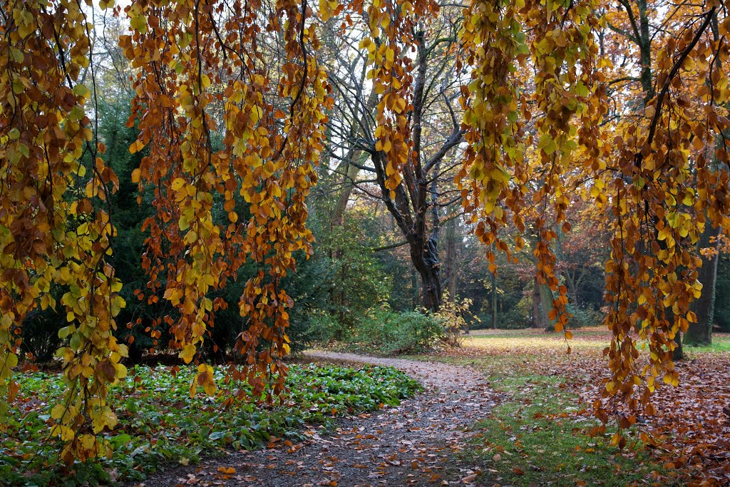 Goldener Herbst
