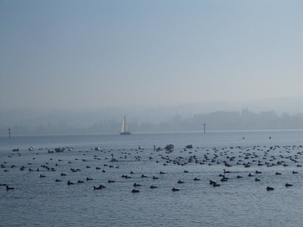 Seestrasse, Konstanz