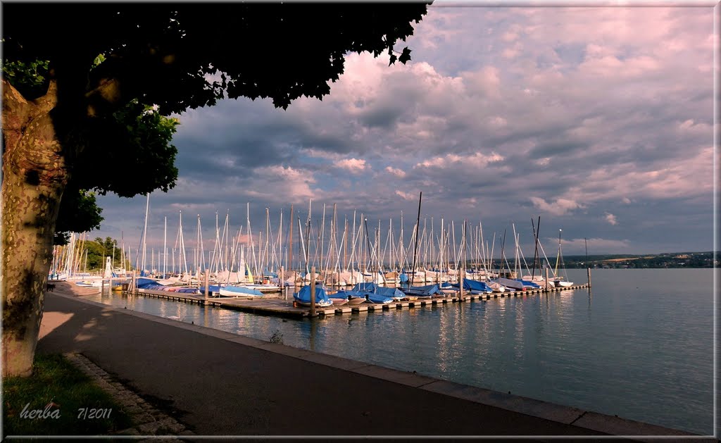 An der Seerhein Promenade in Konstanz am Bodensee