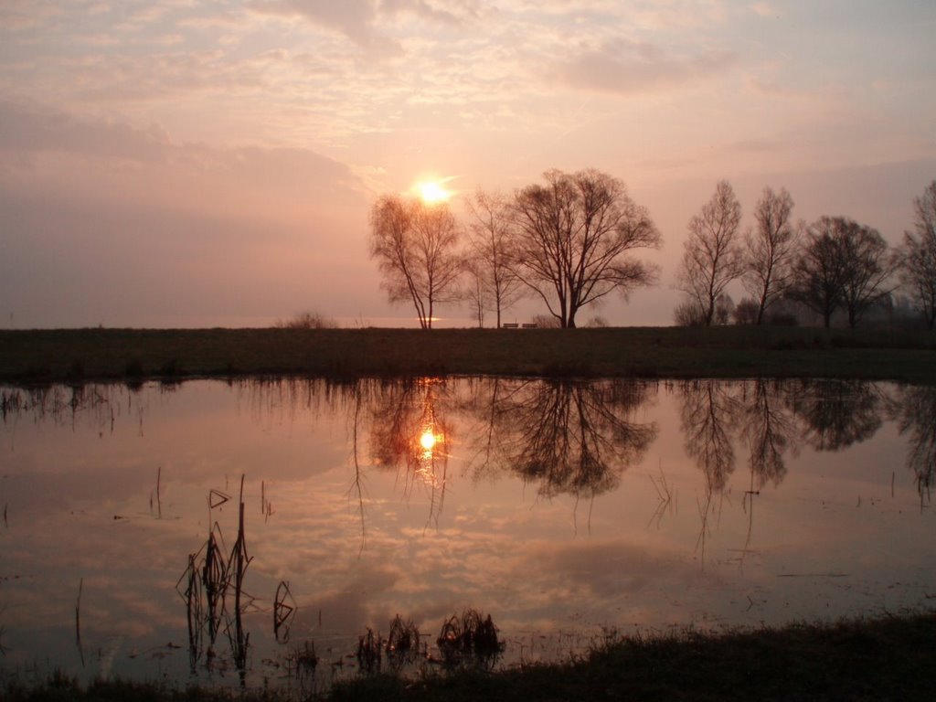 Morgenstimmung im Seeburgpark Kreuzlingen