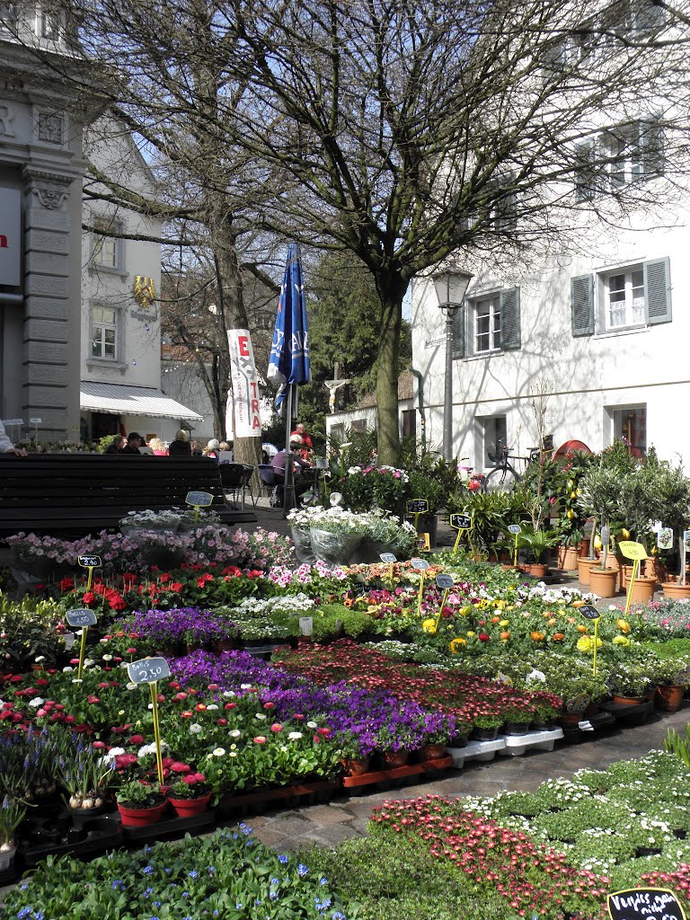 Blümlesmarkt in der Hussenstraße