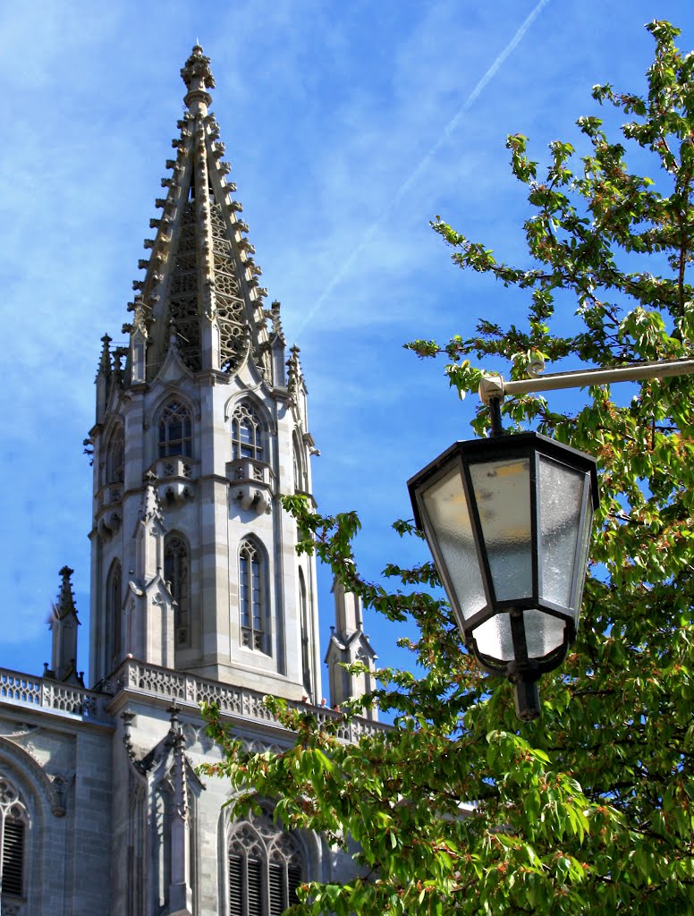 Konstanz-Münster*