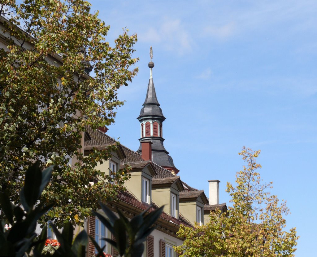 Aufblick