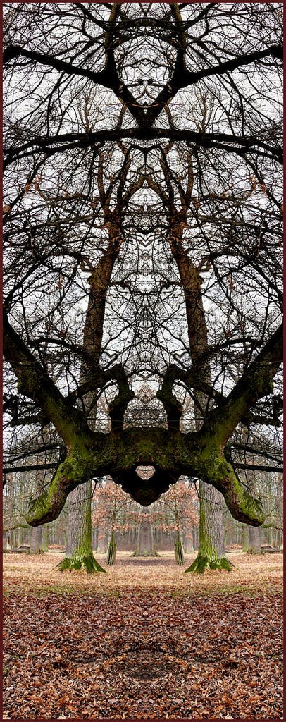 Mystical Tree