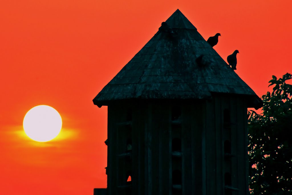 RED SUNSET MANNHEIM
