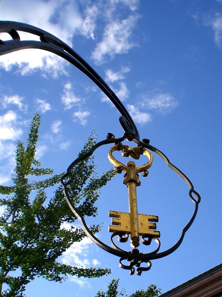 #19 - Mannheim, Németország