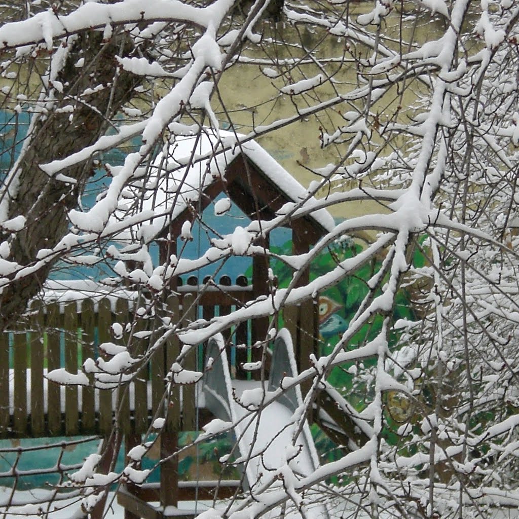 Winter... (7)