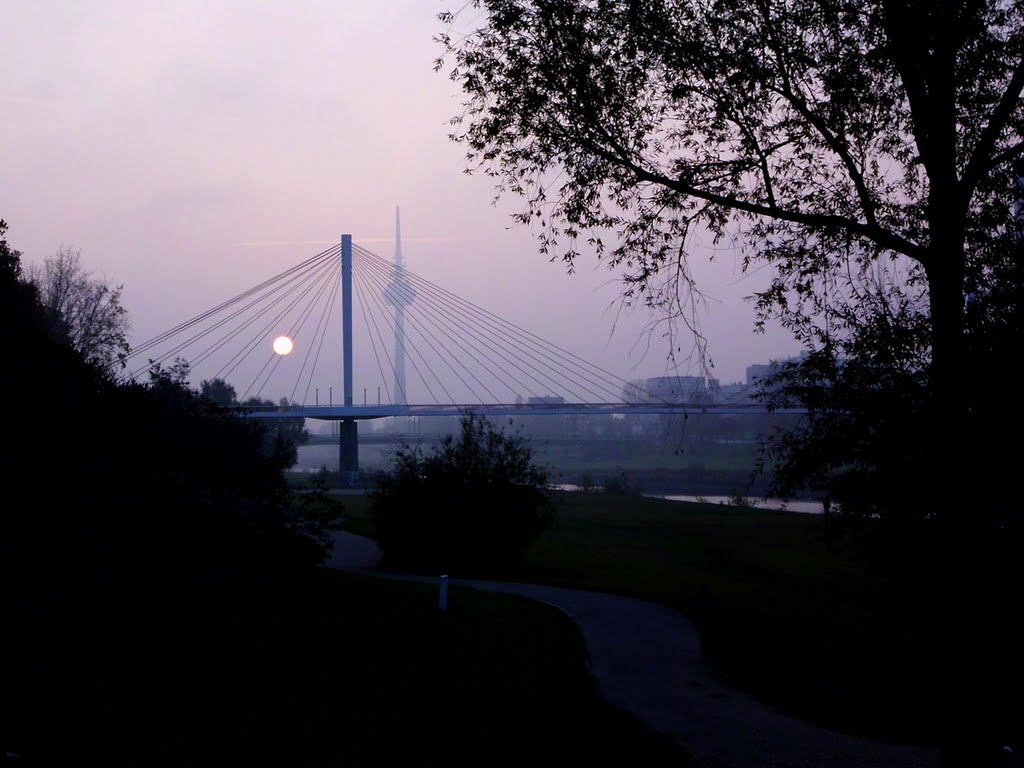 Am Neckar... (3)