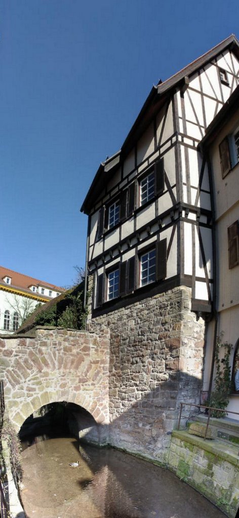 ein Entlein
