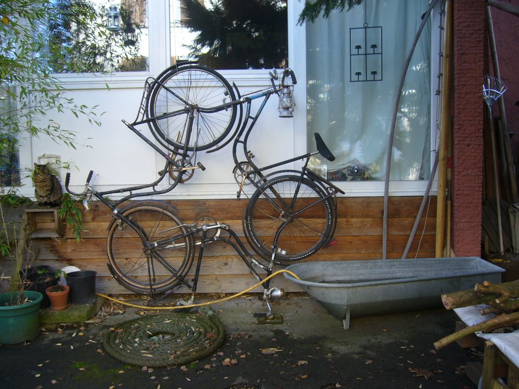 Katze samt Klappe, Badewanne und dreirädriges Fahrrad