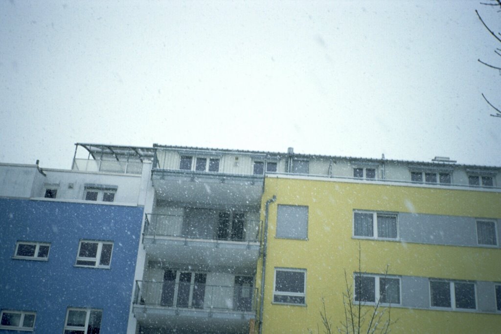 Skyline