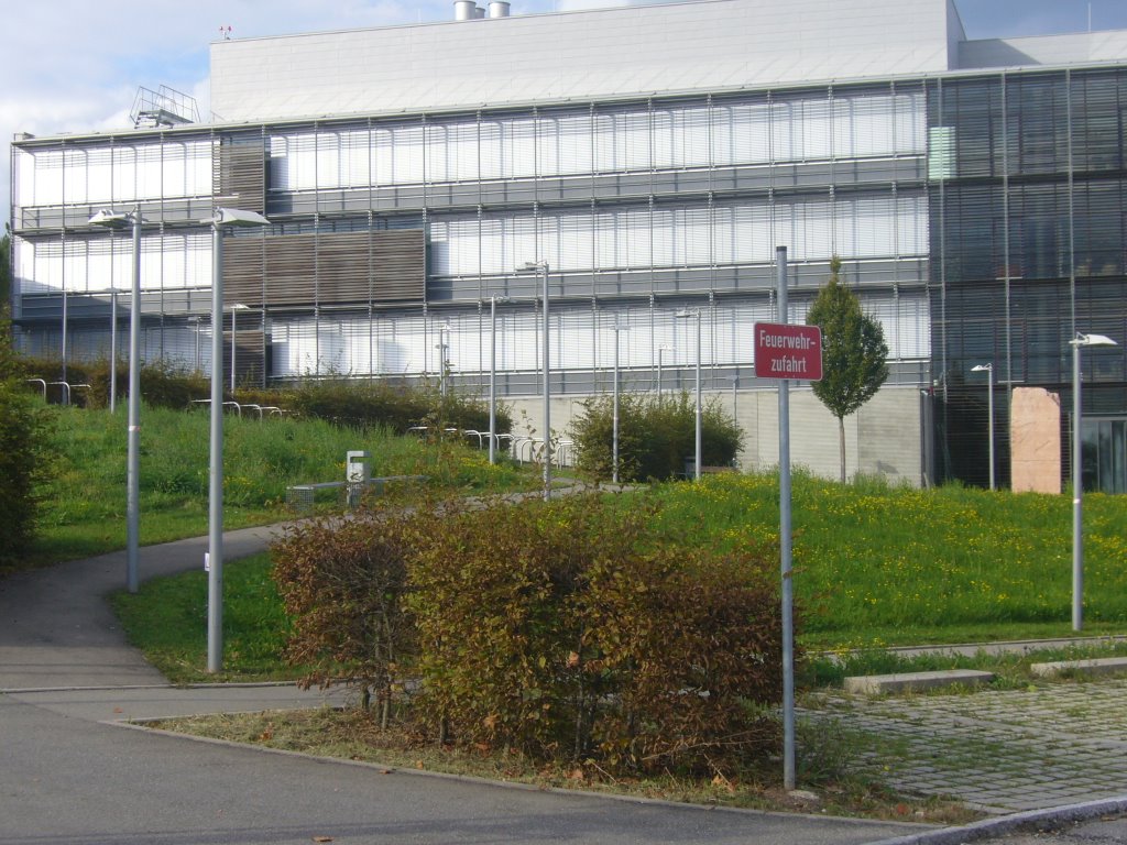 Leuchtenwald
