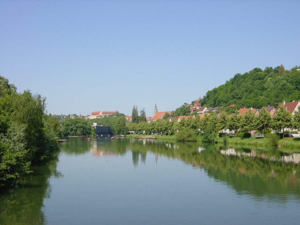 Blick auf Tuebingen vom E-Werk