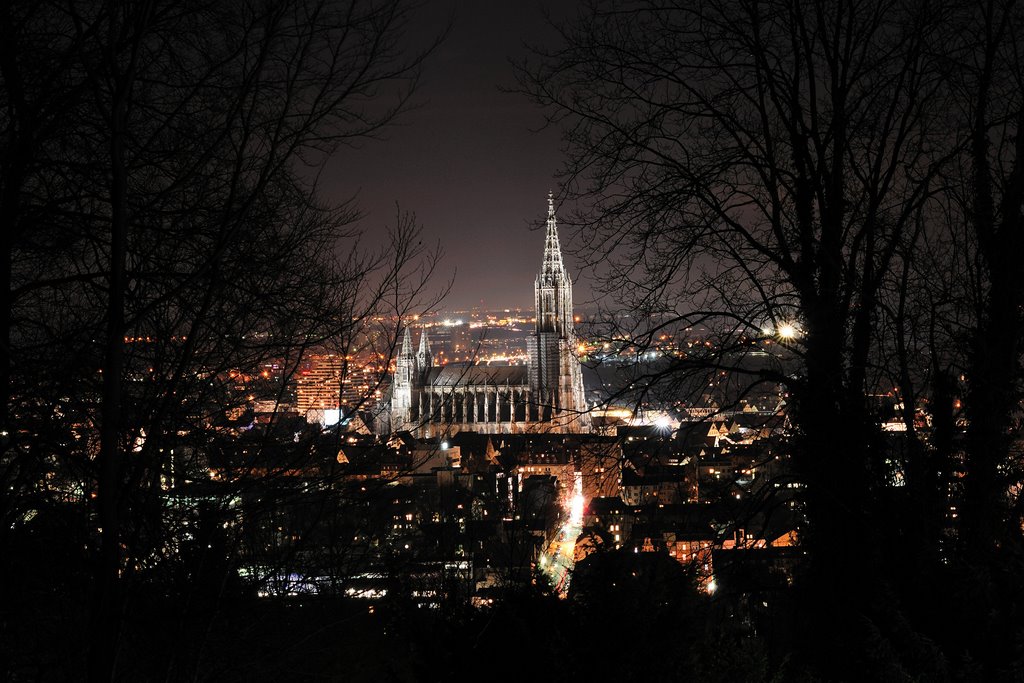 Night View of Ulm Cathedral