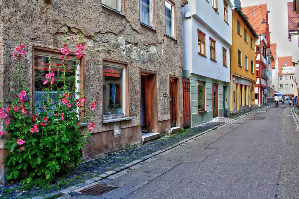 ULM