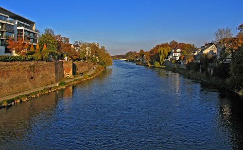 Donau Ufer