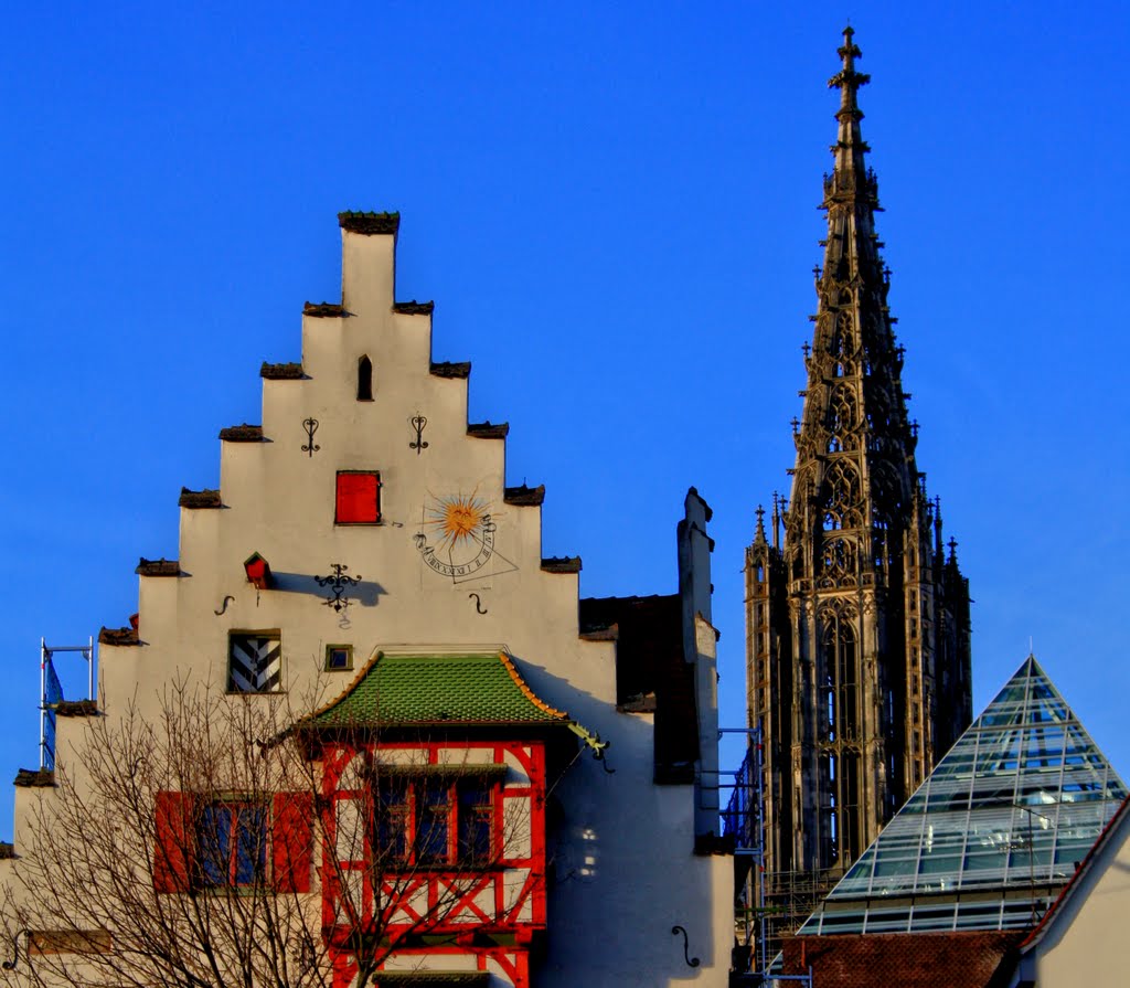 ULM*