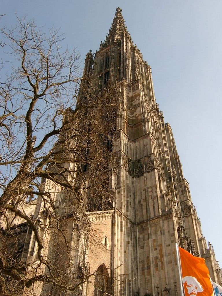 ulm